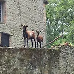 Superbe Moulin Au Bord D'une Riviere, Au Calme, Avec Piano Tatil Evi