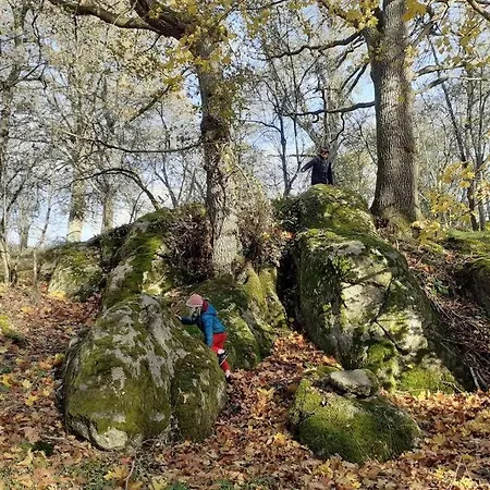 Superbe Moulin Au Bord D'une Riviere, Au Calme, Avec Piano 펜션 *