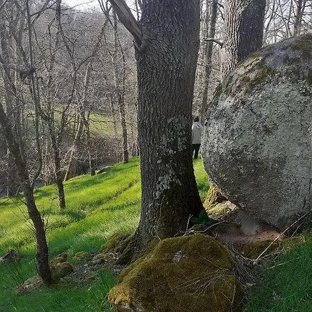 Tatil Evi Superbe Moulin Au Bord D'une Riviere, Au Calme, Avec Piano *