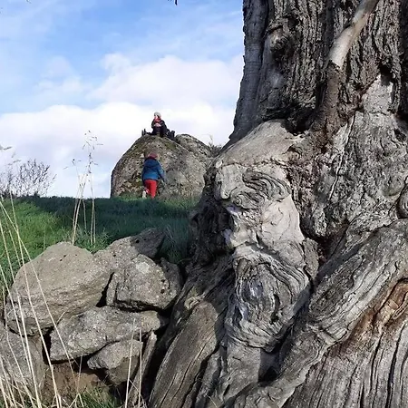 Superbe Moulin Au Bord D'une Riviere, Au Calme, Avec Piano Semesterbostad Doyet