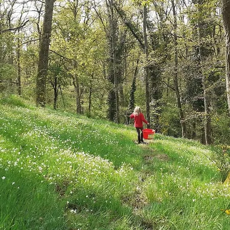 Superbe Moulin Au Bord D'une Riviere, Au Calme, Avec Piano 펜션 *