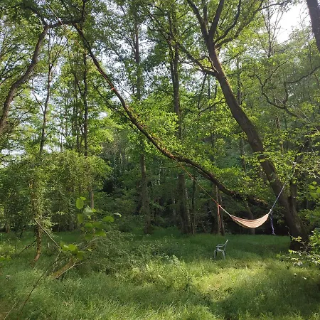 Superbe Moulin Au Bord D'une Riviere, Au Calme, Avec Piano * Doyet