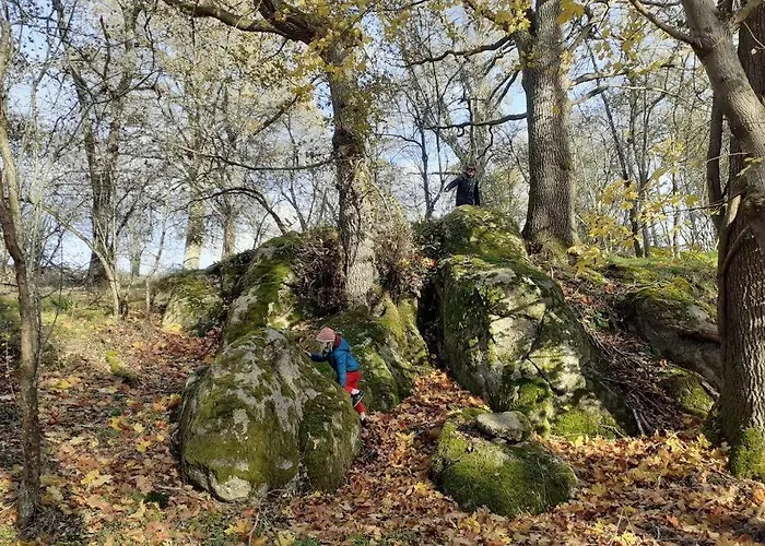 Superbe Moulin Au Bord D'une Riviere, Au Calme, Avec Piano 펜션 *