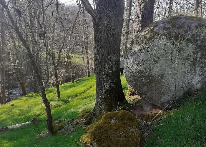 펜션 Superbe Moulin Au Bord D'une Riviere, Au Calme, Avec Piano *