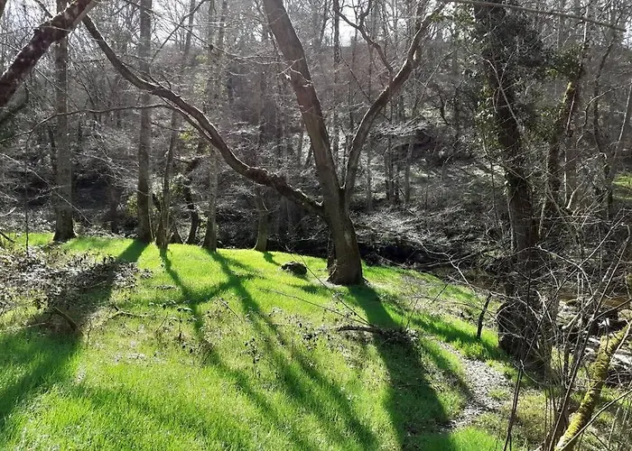 펜션 Superbe Moulin Au Bord D'une Riviere, Au Calme, Avec Piano *