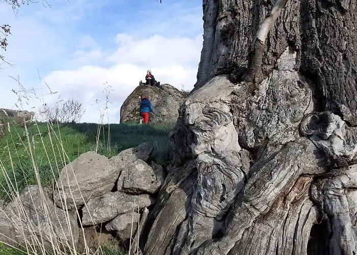 Superbe Moulin Au Bord D'une Riviere, Au Calme, Avec Piano Holiday home Doyet