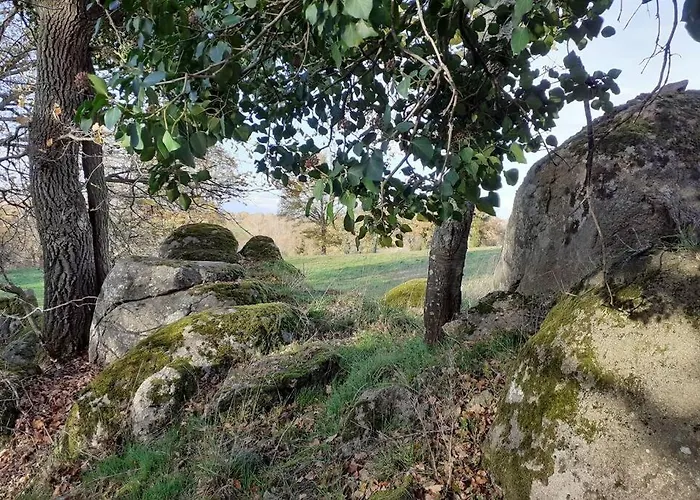 Superbe Moulin Au Bord D'une Riviere, Au Calme, Avec Piano 펜션