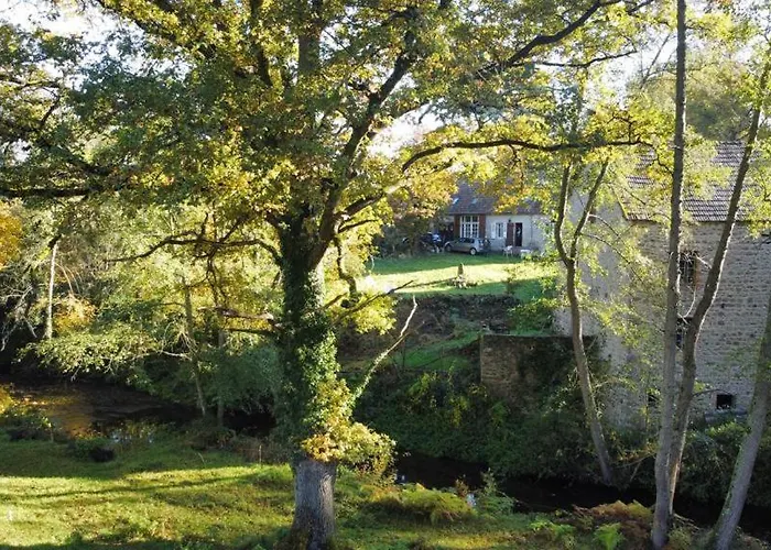Superbe Moulin Au Bord D'une Riviere, Au Calme, Avec Piano * Doyet