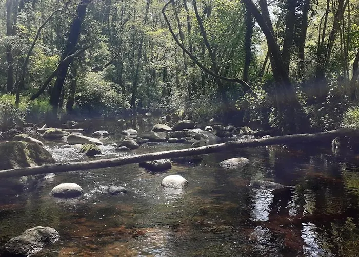 Superbe Moulin Au Bord D'une Riviere, Au Calme, Avec Piano