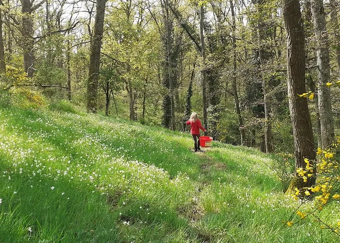 Superbe Moulin Au Bord D'une Riviere, Au Calme, Avec Piano Holiday home *