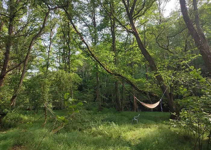 Superbe Moulin Au Bord D'une Riviere, Au Calme, Avec Piano * Doyet